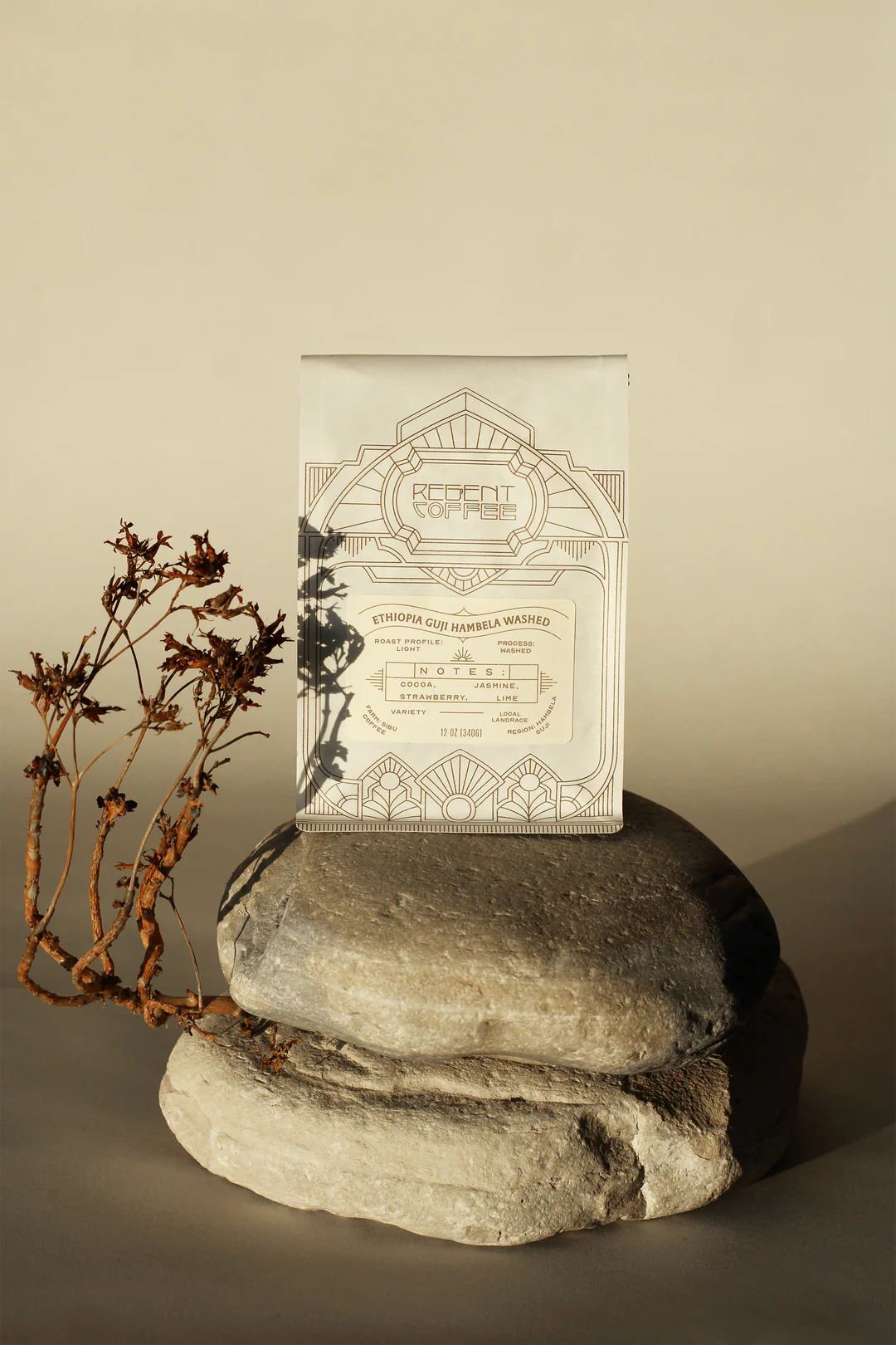 Regent Coffee Ethiopia Guji Hambela Washed