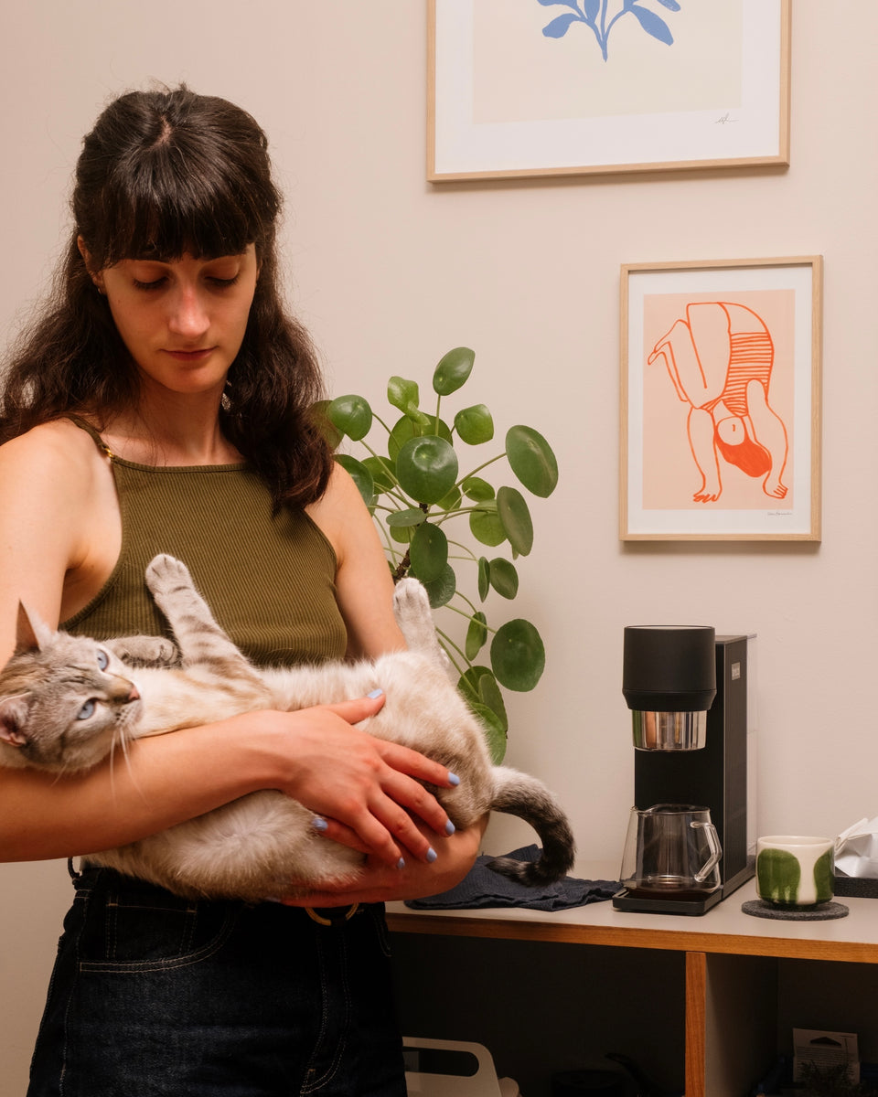 A person holding a cat beside bre:zi on a kitchen counter